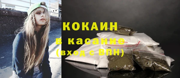 индика Арсеньев