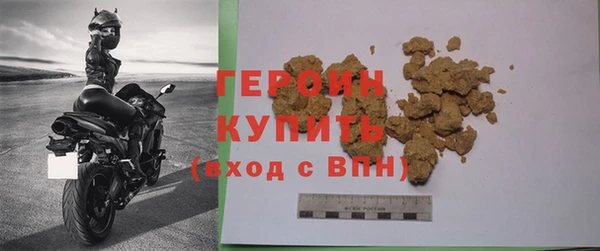 индика Арсеньев