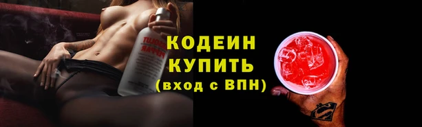 a pvp Аркадак