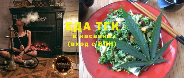 индика Арсеньев