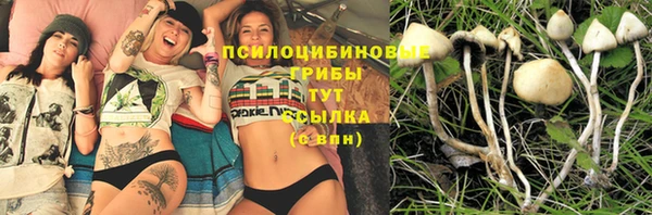 индика Арсеньев