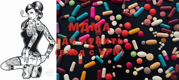 индика Арсеньев