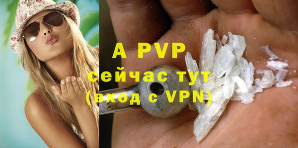 индика Арсеньев