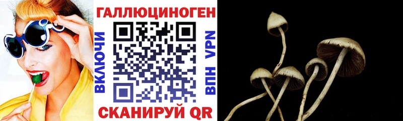 Галлюциногенные грибы MAGIC MUSHROOMS магазин продажи Асино