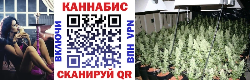 kraken ССЫЛКА Асино Бошки Шишки тримм